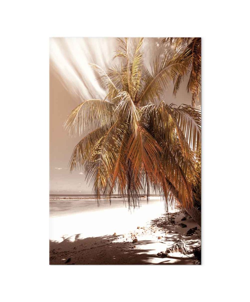 Paveikslas Palmių šešėlis