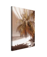 Paveikslas Palmių šešėlis