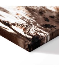 Paveikslas Palmių šešėlis