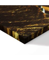 Paveikslas Vario kalnai