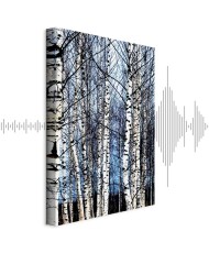 Paveikslas Šaltas sausis