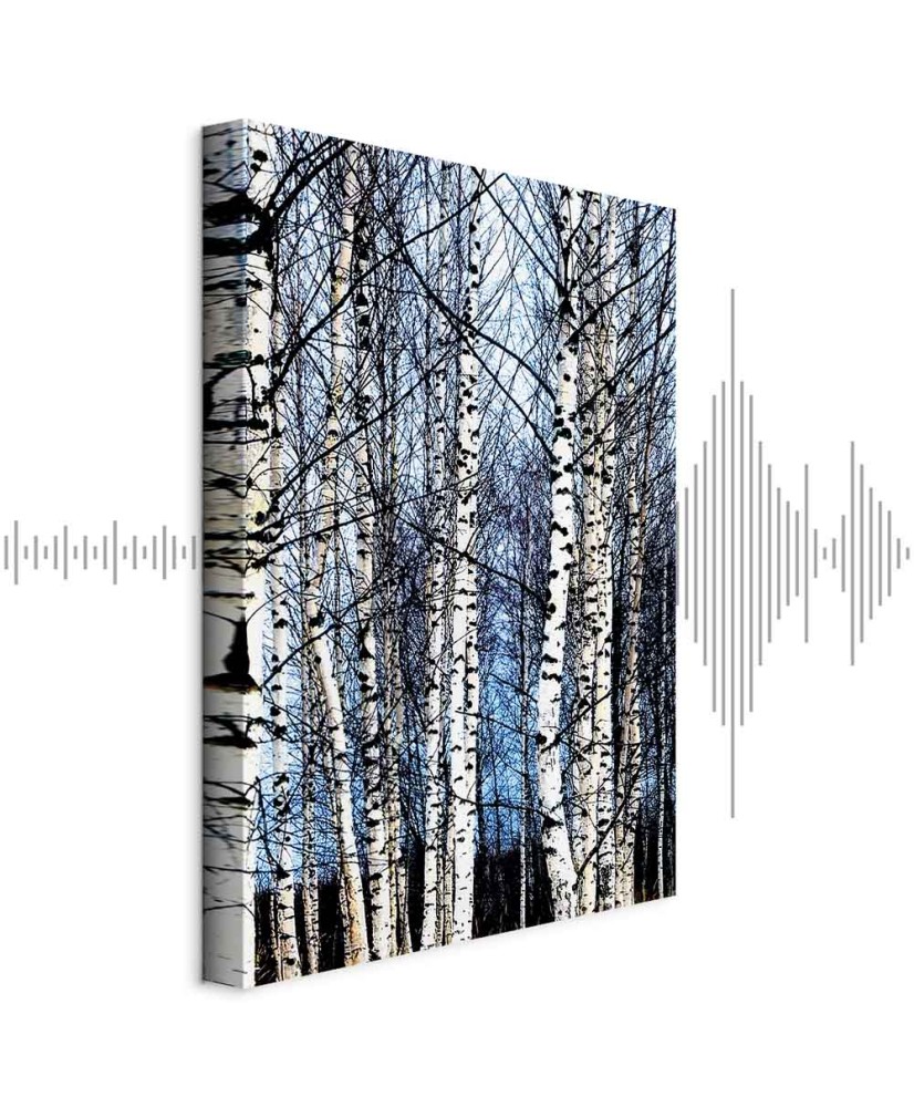 Paveikslas Šaltas sausis