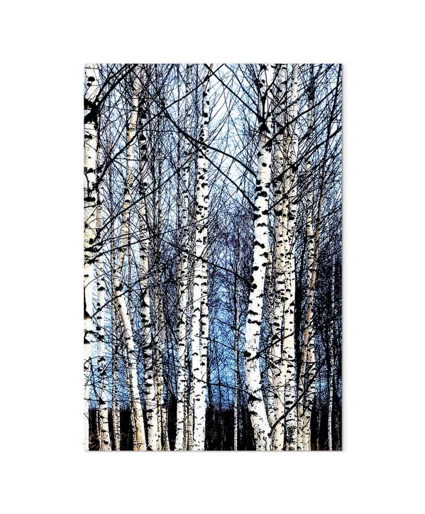 Paveikslas Šaltas sausis