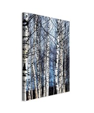 Paveikslas Šaltas sausis