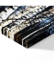 Paveikslas Šaltas sausis