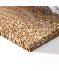 Paveikslas Dangaus banga