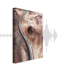 Paveikslas Kalnų serpantinas