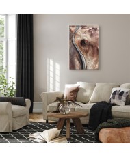 Paveikslas Kalnų serpantinas