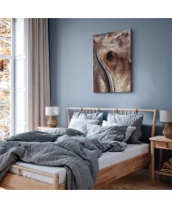 Paveikslas Kalnų serpantinas