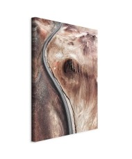 Paveikslas Kalnų serpantinas