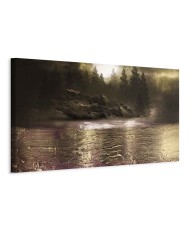 Paveikslas Apmąstymai