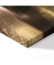 Paveikslas Apmąstymai