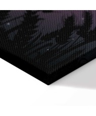 Paveikslas Nakties kaimas