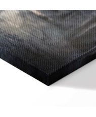 Paveikslas Paslapčių kambarys