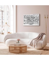 Paveikslas Krokuvos miesto planas