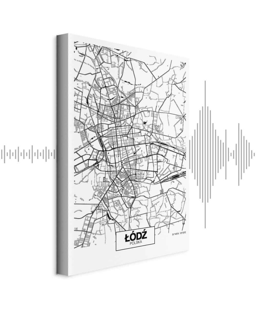 Paveikslas Lodzės miesto planas
