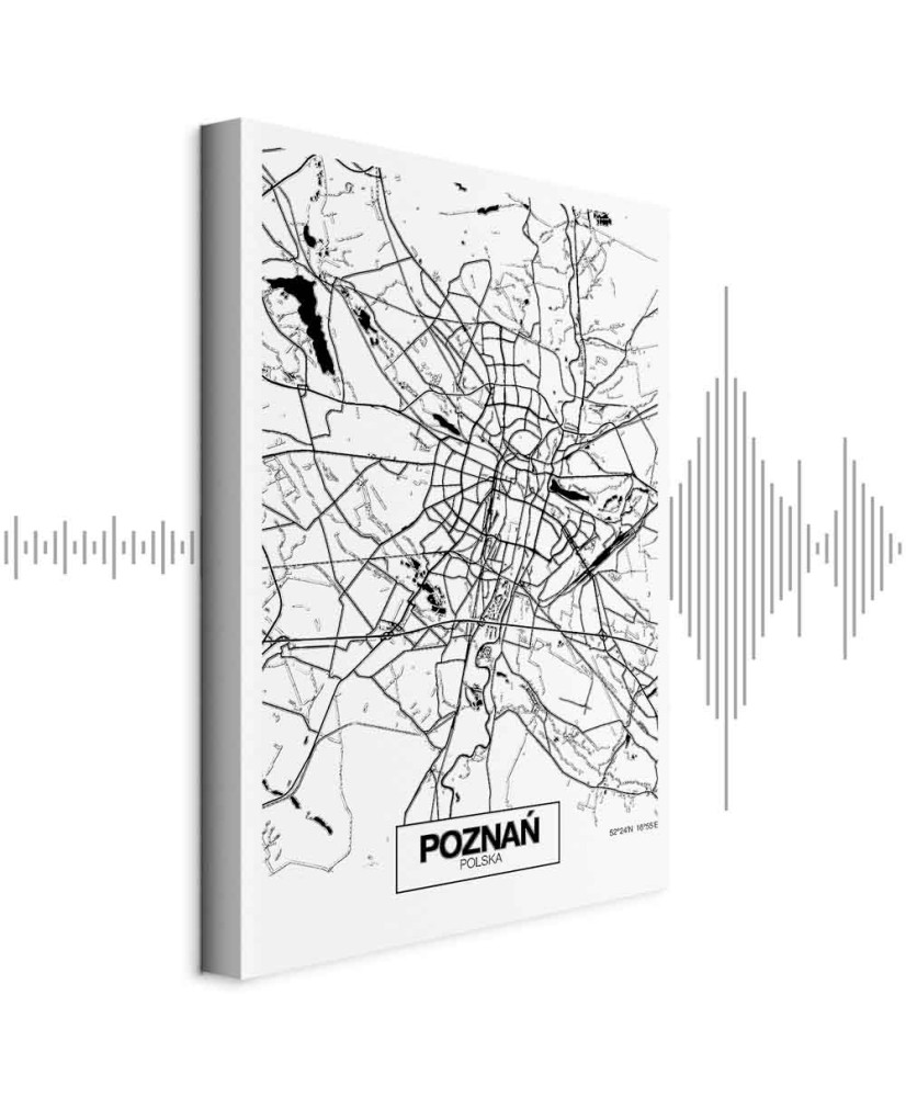 Paveikslas Poznanės miesto planas