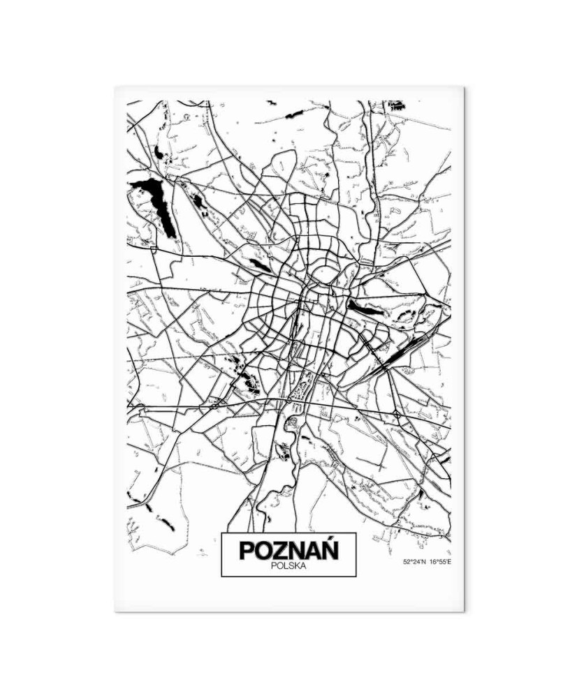 Paveikslas Poznanės miesto planas