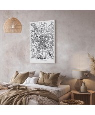 Paveikslas Vroclavo miesto planas