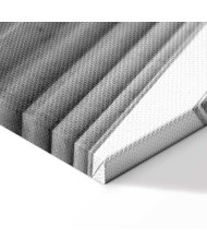 Paveikslas Akmens kolonos