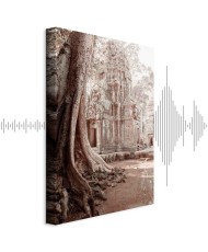 Paveikslas Angkoro griuvėsiai