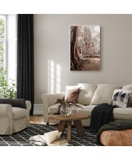 Paveikslas Angkoro griuvėsiai