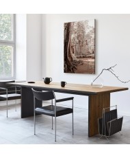 Paveikslas Angkoro griuvėsiai