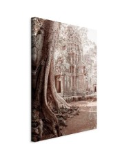 Paveikslas Angkoro griuvėsiai