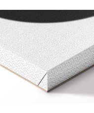 Paveikslas Viską matantis triušis