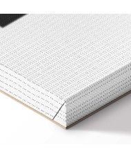 Paveikslas Dekoratyvinė alpaka