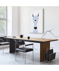 Paveikslas Žavioji lama