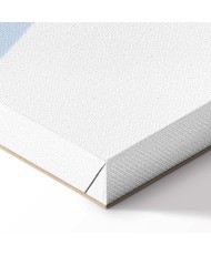 Paveikslas Žavioji lama