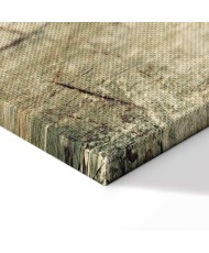 Paveikslas Migloti prisiminimai