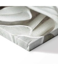 Paveikslas Alabastro sodas