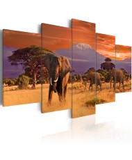 Paveikslas  Africa Elephants