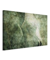 Paveikslas Žalioji revoliucija