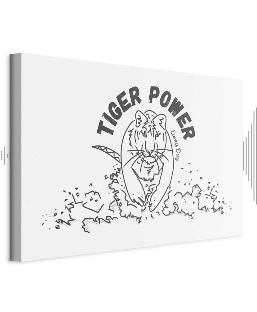 Paveikslas Tigro galia