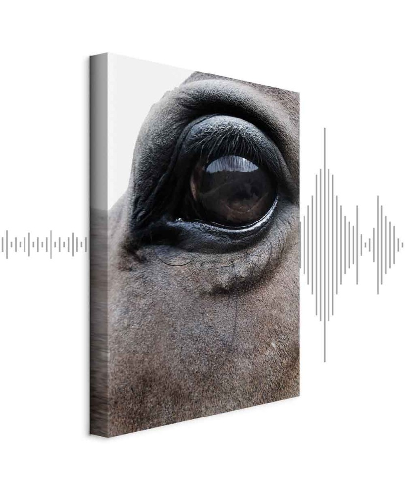 Paveikslas Nuoširdžios akys