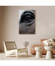 Paveikslas Nuoširdžios akys