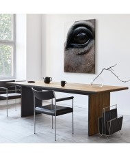 Paveikslas Nuoširdžios akys