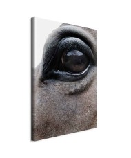 Paveikslas Nuoširdžios akys