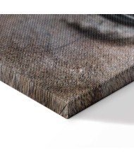 Paveikslas Nuoširdžios akys