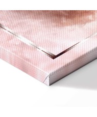 Paveikslas Kosminis flamingas