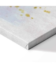 Paveikslas Drugelis ir sapnai