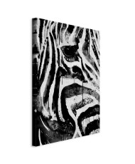 Paveikslas Dryžuota gamta