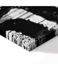 Paveikslas Dryžuota gamta