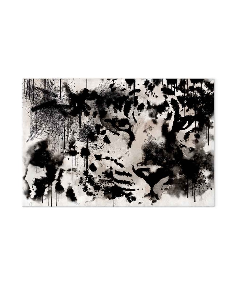 Paveikslas Katino žvilgsnis