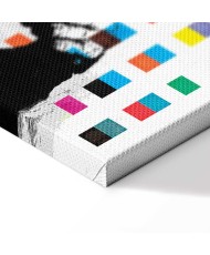 Paveikslas Mąstanti beždžionė