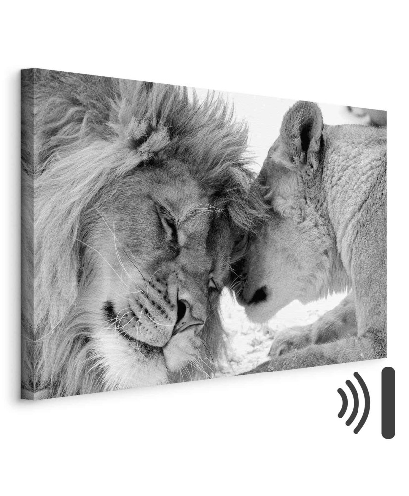 Paveikslas Liūto meilė