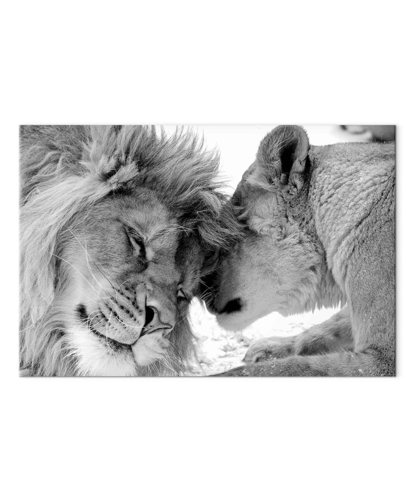 Paveikslas Liūto meilė